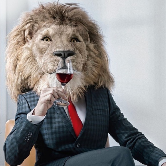 Meet your Posher, Taras - Picture 1 of 1